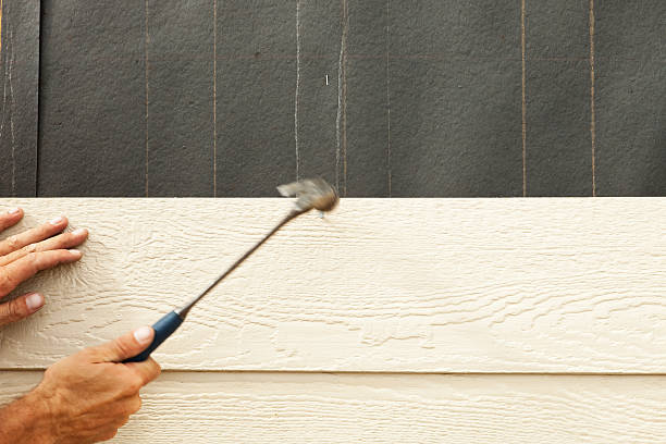 Best Steel Siding Installation  in , VA